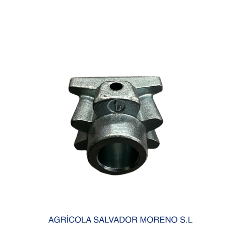 Piñon pajarito nh 87620494